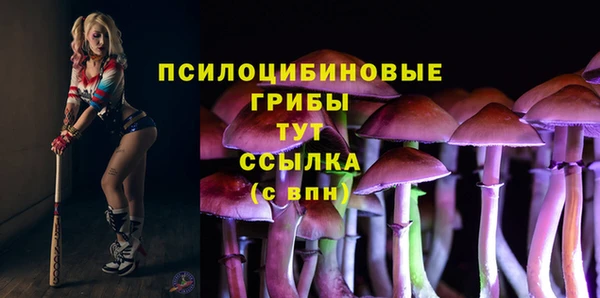 синтетический гашиш Нефтегорск