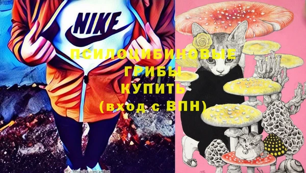 бошки Нефтекумск